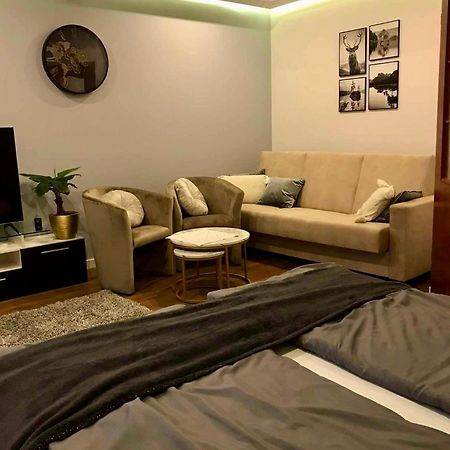 Apartament Podczerwone Czarny Dunajec Zewnętrze zdjęcie