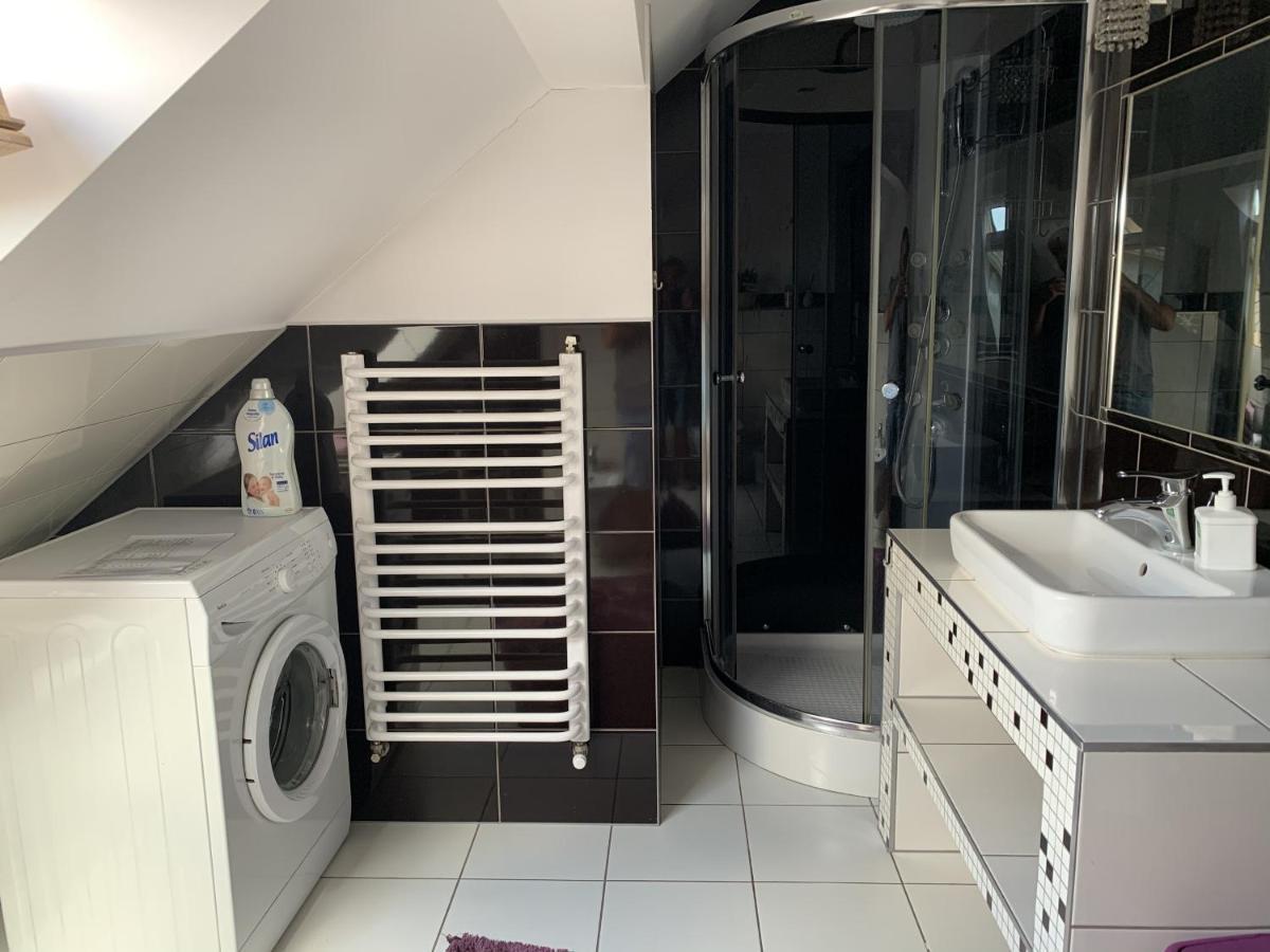 Apartament Podczerwone Czarny Dunajec Zewnętrze zdjęcie