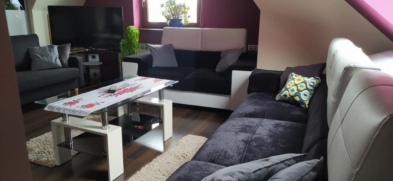 Apartament Podczerwone Czarny Dunajec Zewnętrze zdjęcie