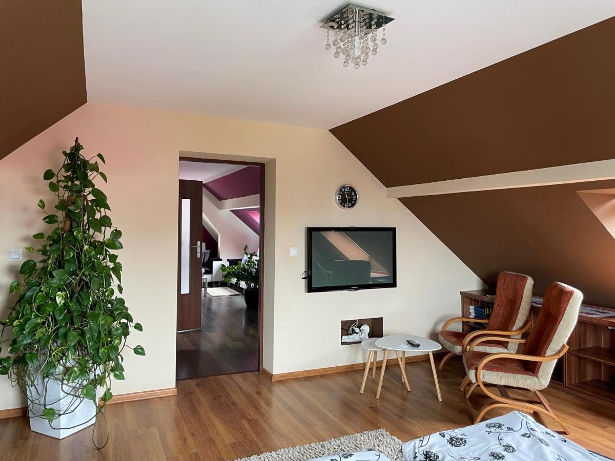 Apartament Podczerwone Czarny Dunajec Zewnętrze zdjęcie
