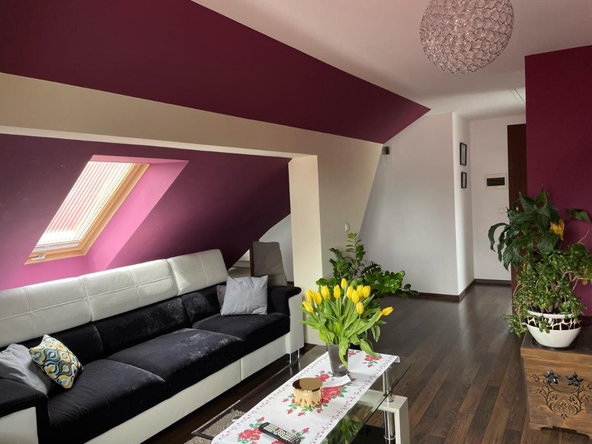 Apartament Podczerwone Czarny Dunajec Zewnętrze zdjęcie