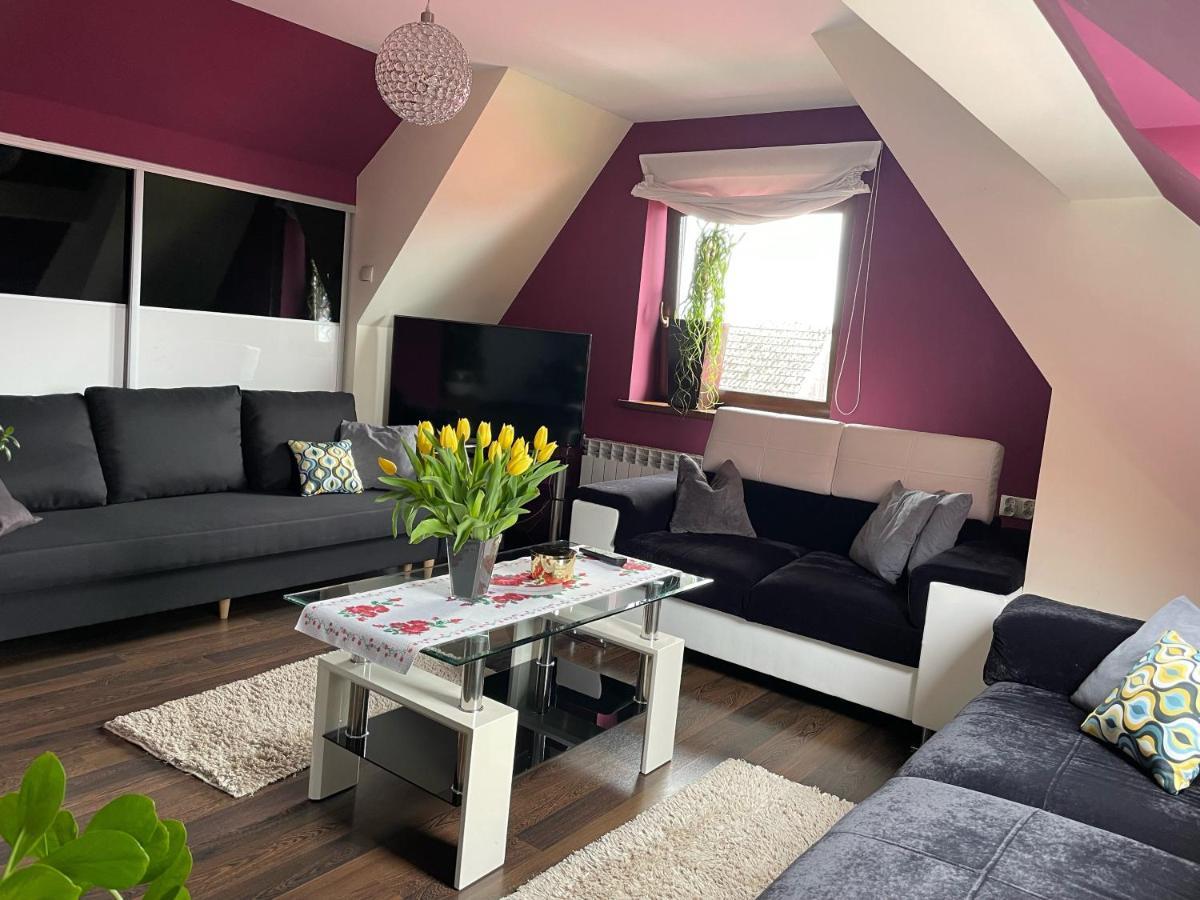 Apartament Podczerwone Czarny Dunajec Zewnętrze zdjęcie